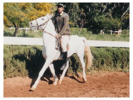 equitation